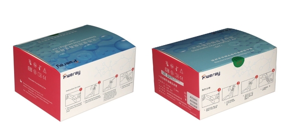 কোভিড-১৯ এর জন্য 3ML ডিসপোজেবল VTM টেস্ট কিট ভাইরাস স্যাম্পলিং